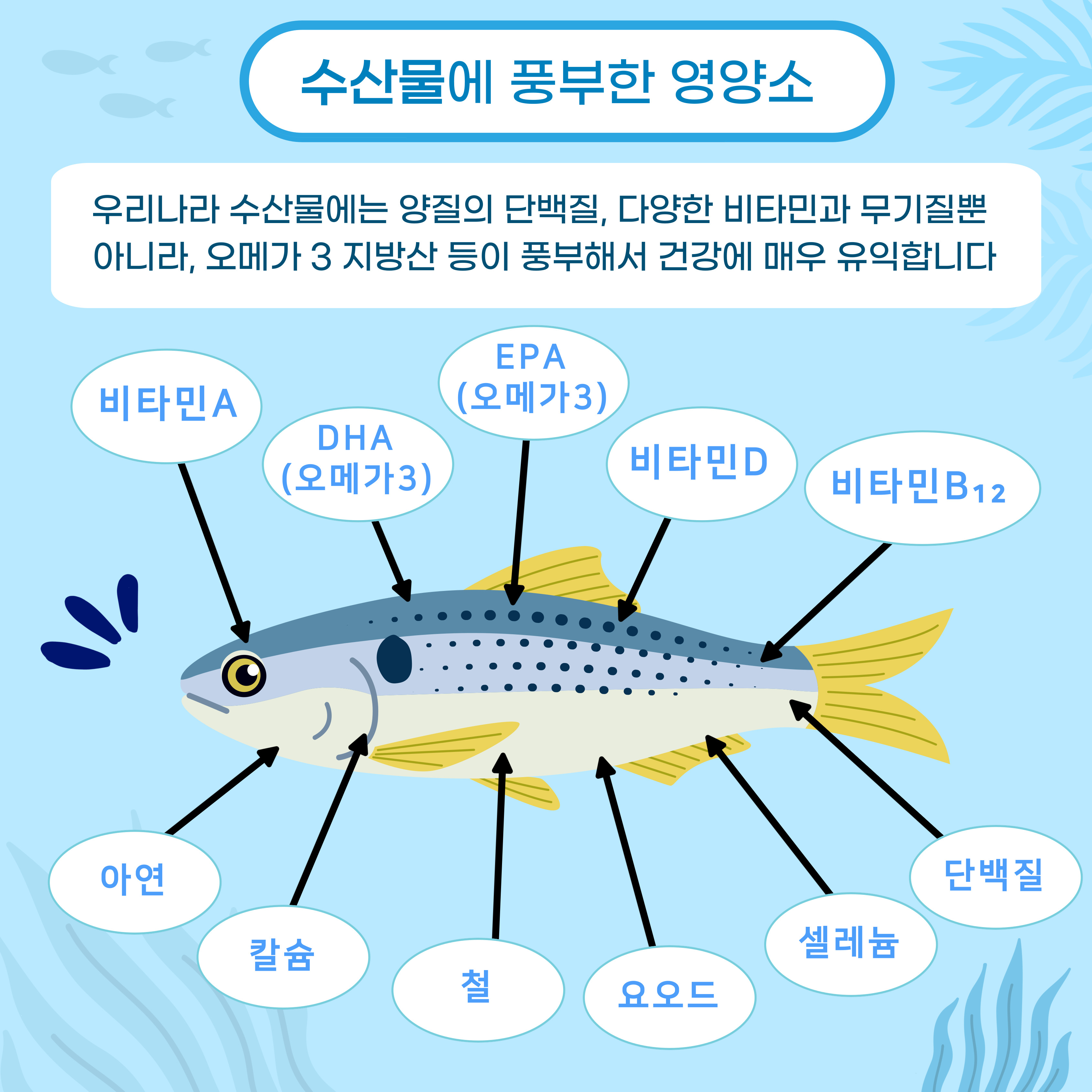 757e754a743a01fcf53e424ea8561d3e_1728980