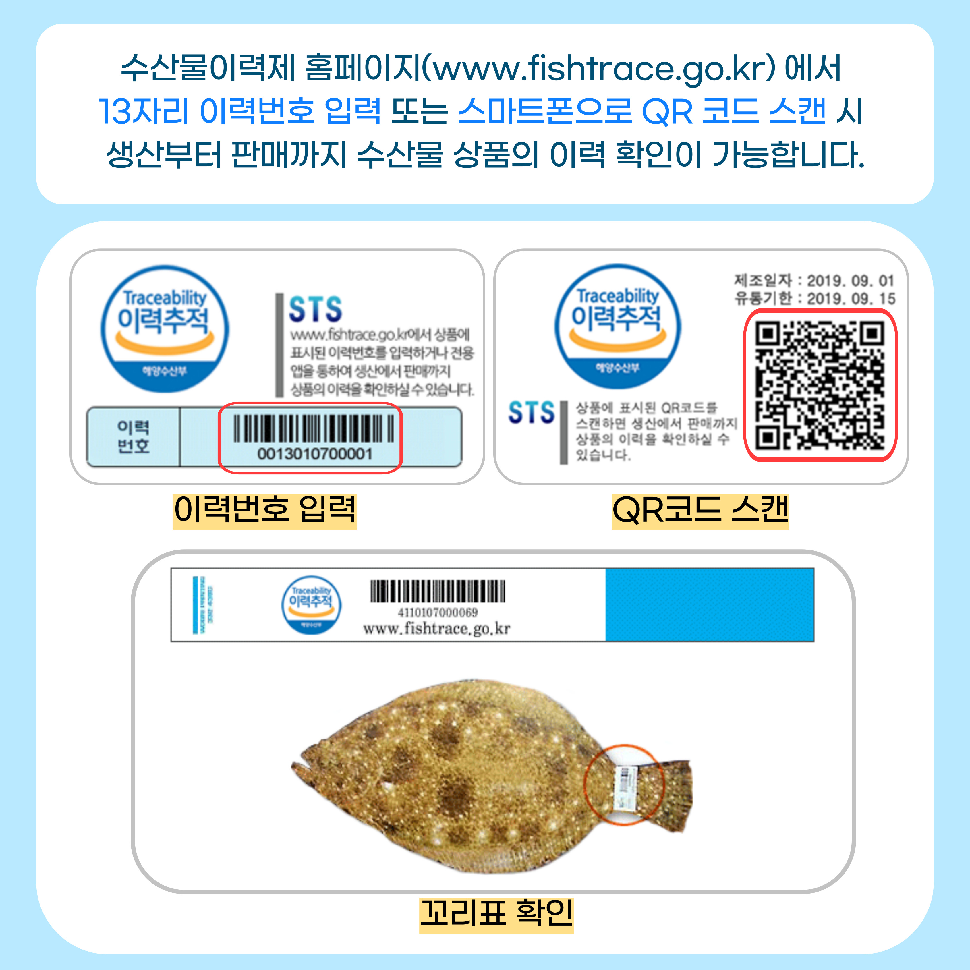 757e754a743a01fcf53e424ea8561d3e_1728980