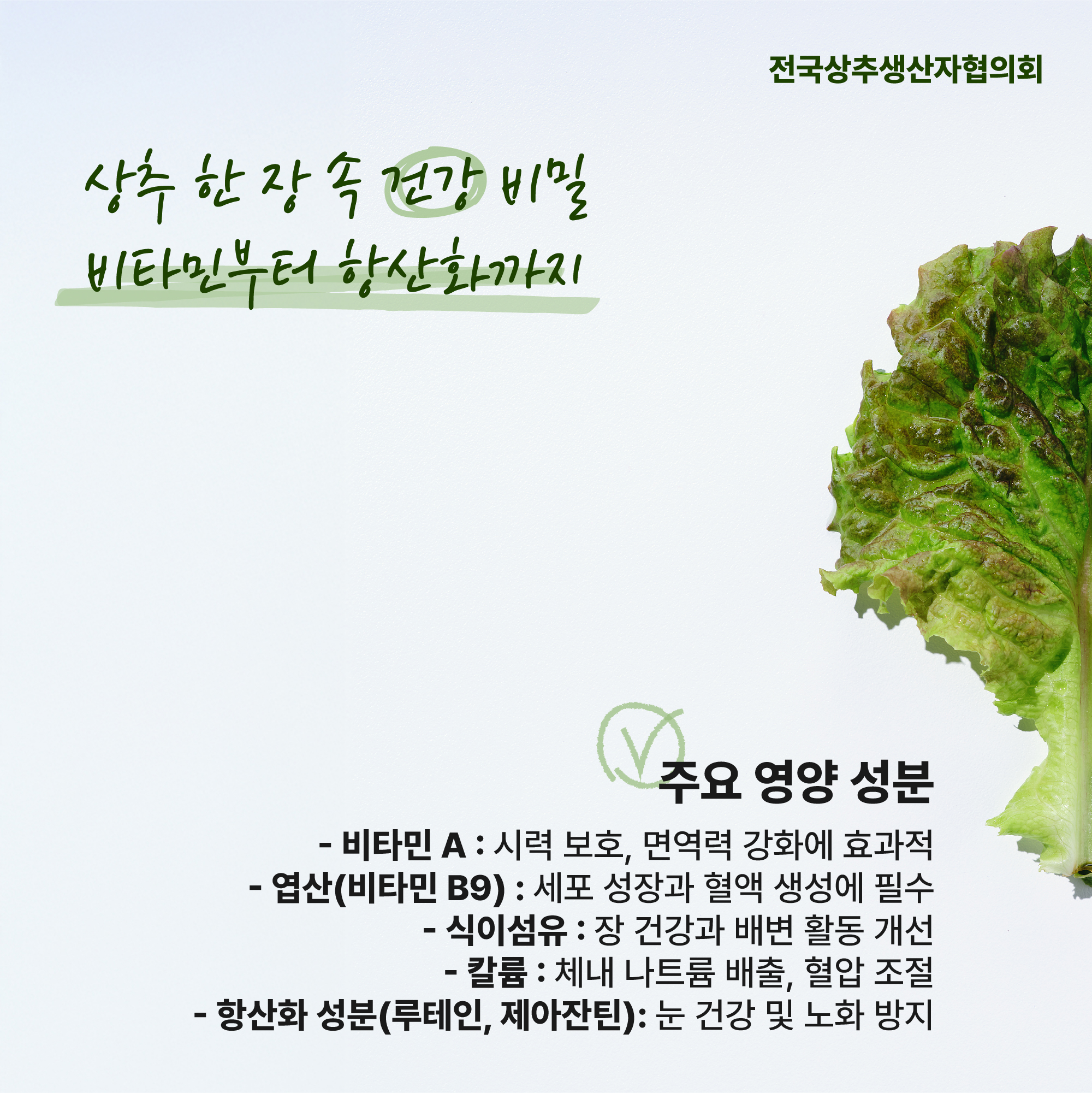 4559d28ad565a9d4c5733b817606a64e_1764807