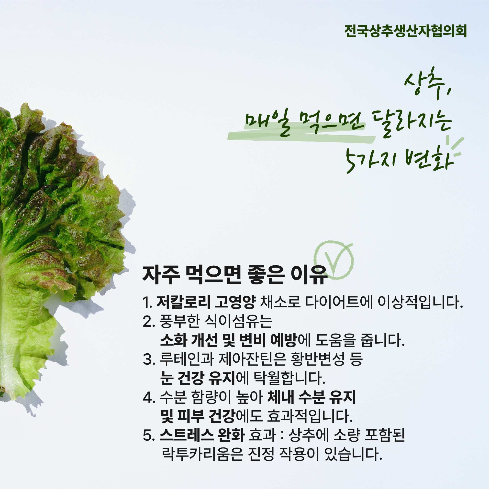 4559d28ad565a9d4c5733b817606a64e_1764807